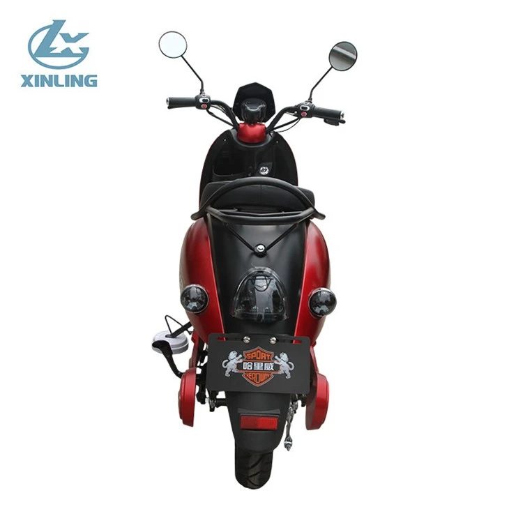 Electric Scooter Motorcycle 800W